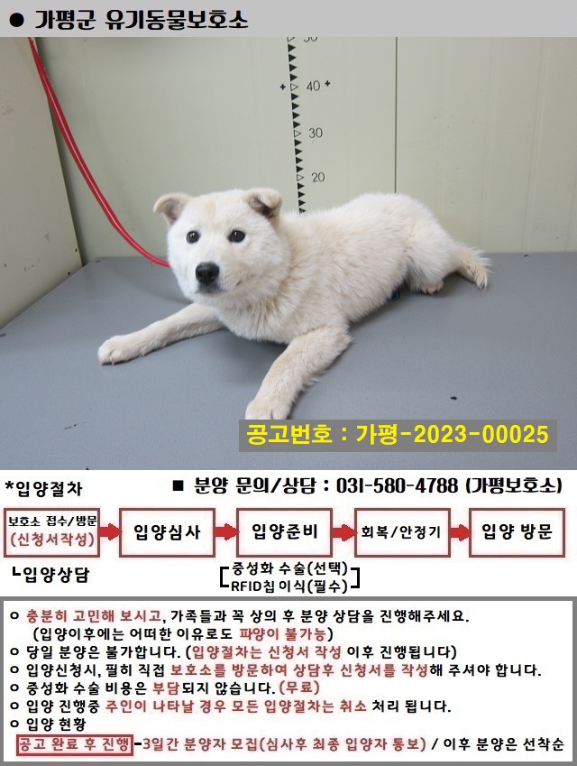 가평군유기동물보호소_441416202300025